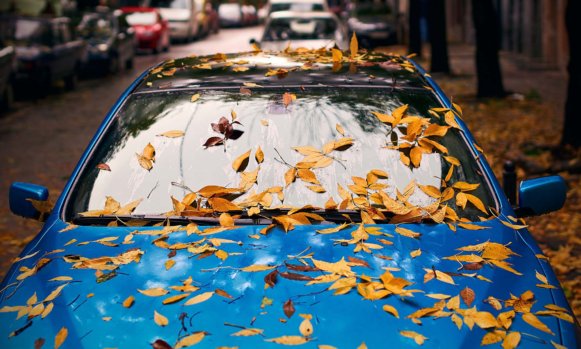 Las hojas de otoño cubren un automóvil estacionado en la calle.