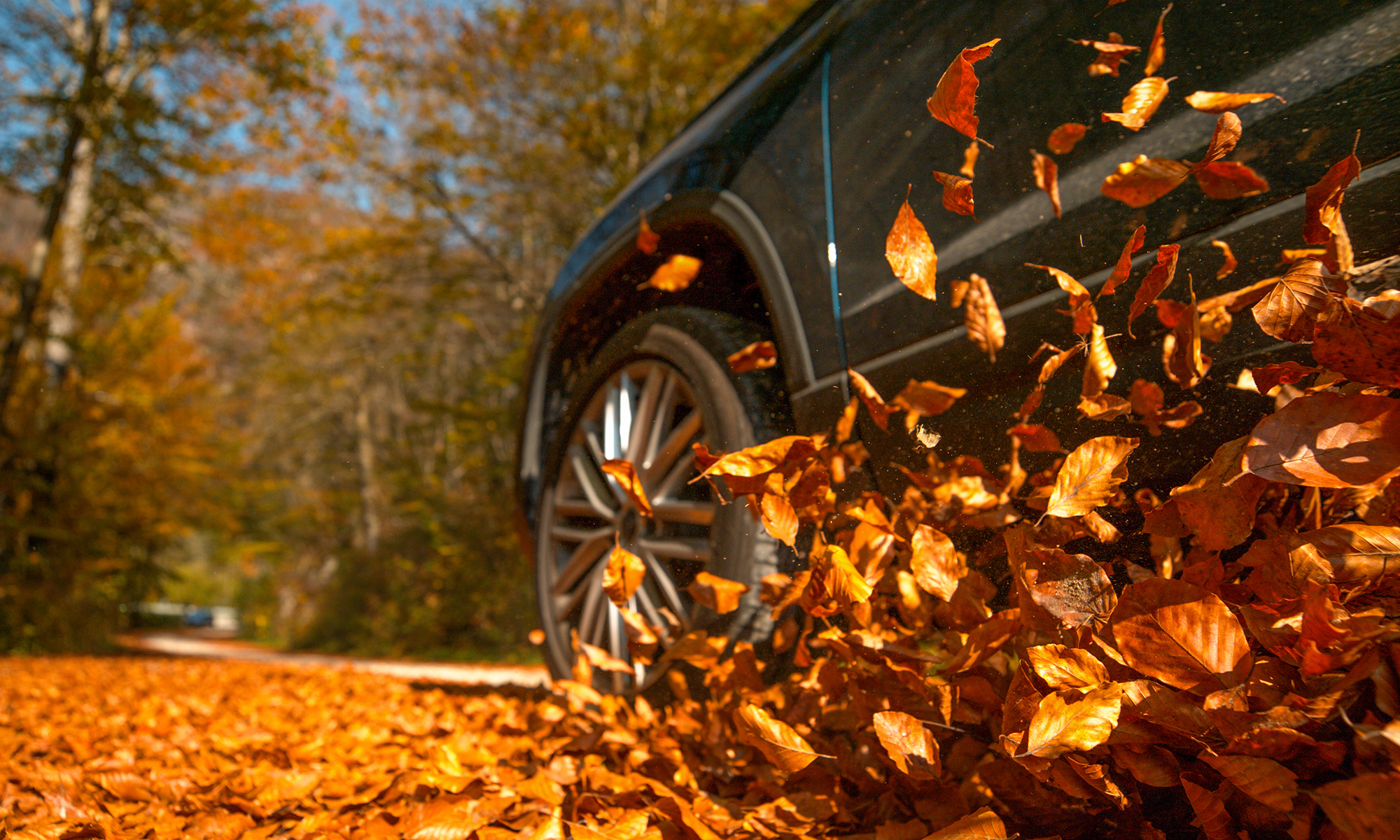 Un coche avanza a través de un montón de hojas caídas durante el otoño.