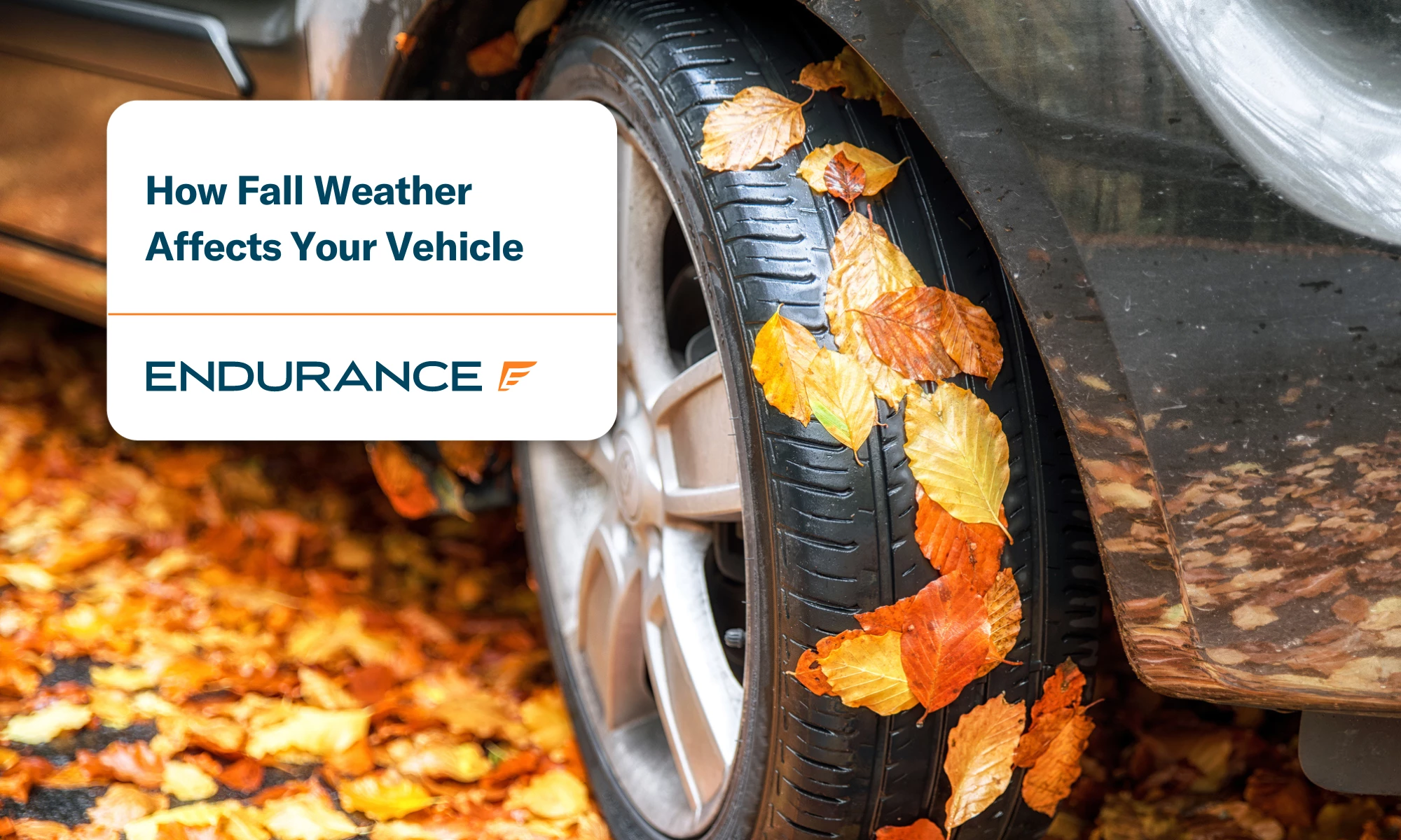 A car tire covered in leaves during the fall