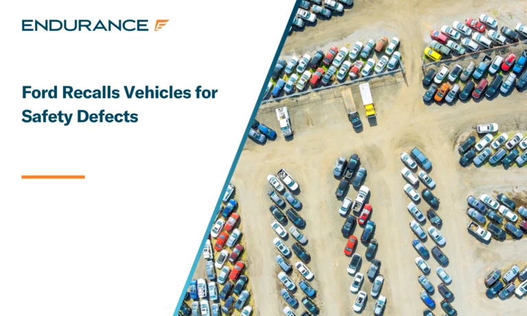 Ford vehicles in a lot