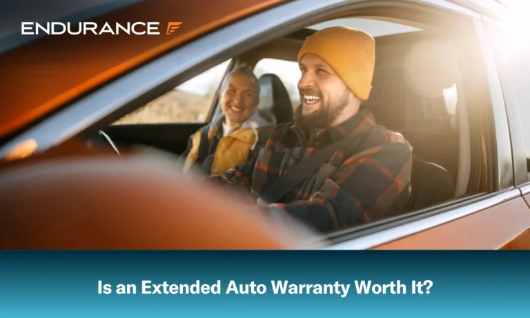 Couple enjoying car ride together on a sunny day