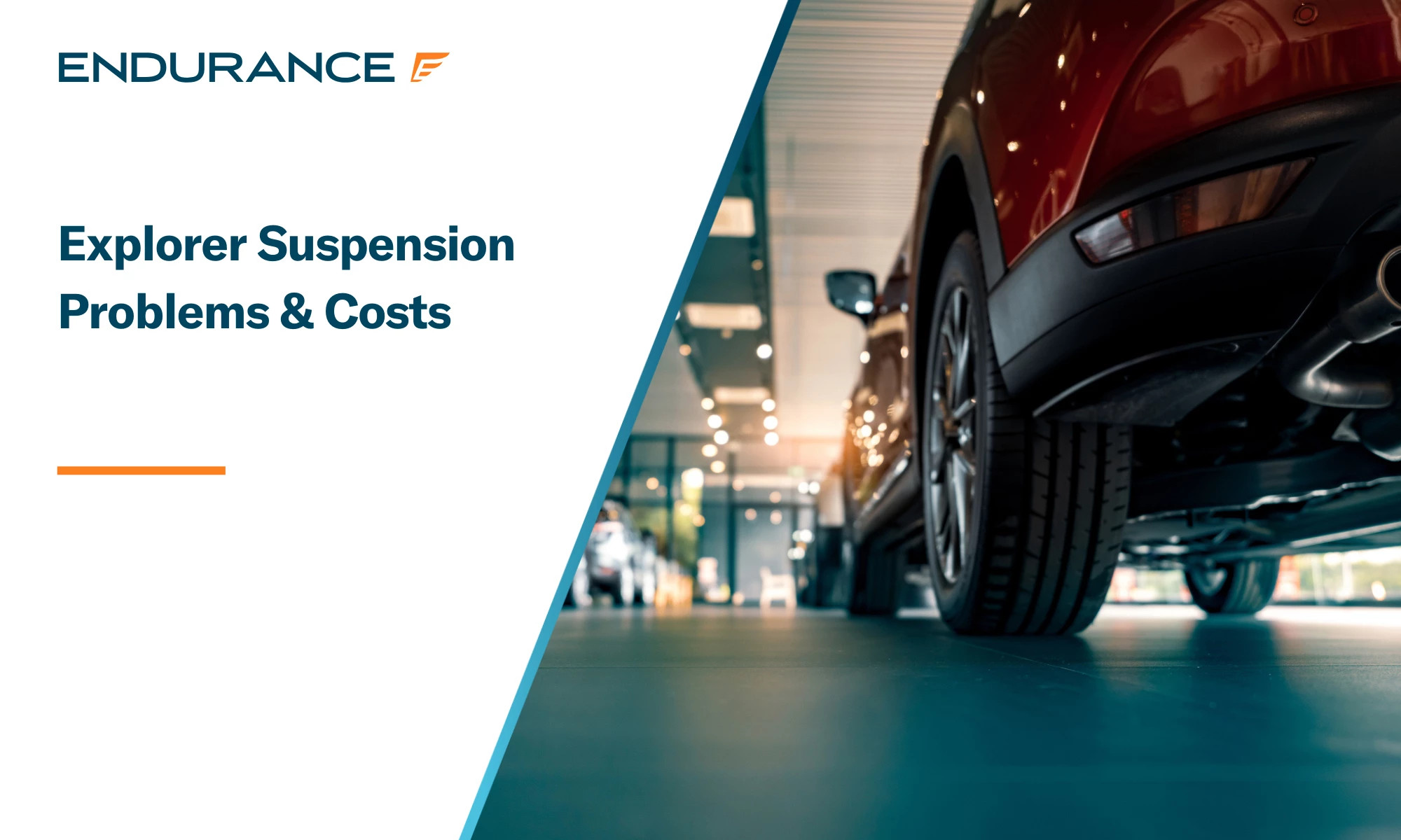 Rearview of parked Ford Explorers in a dealer showroom