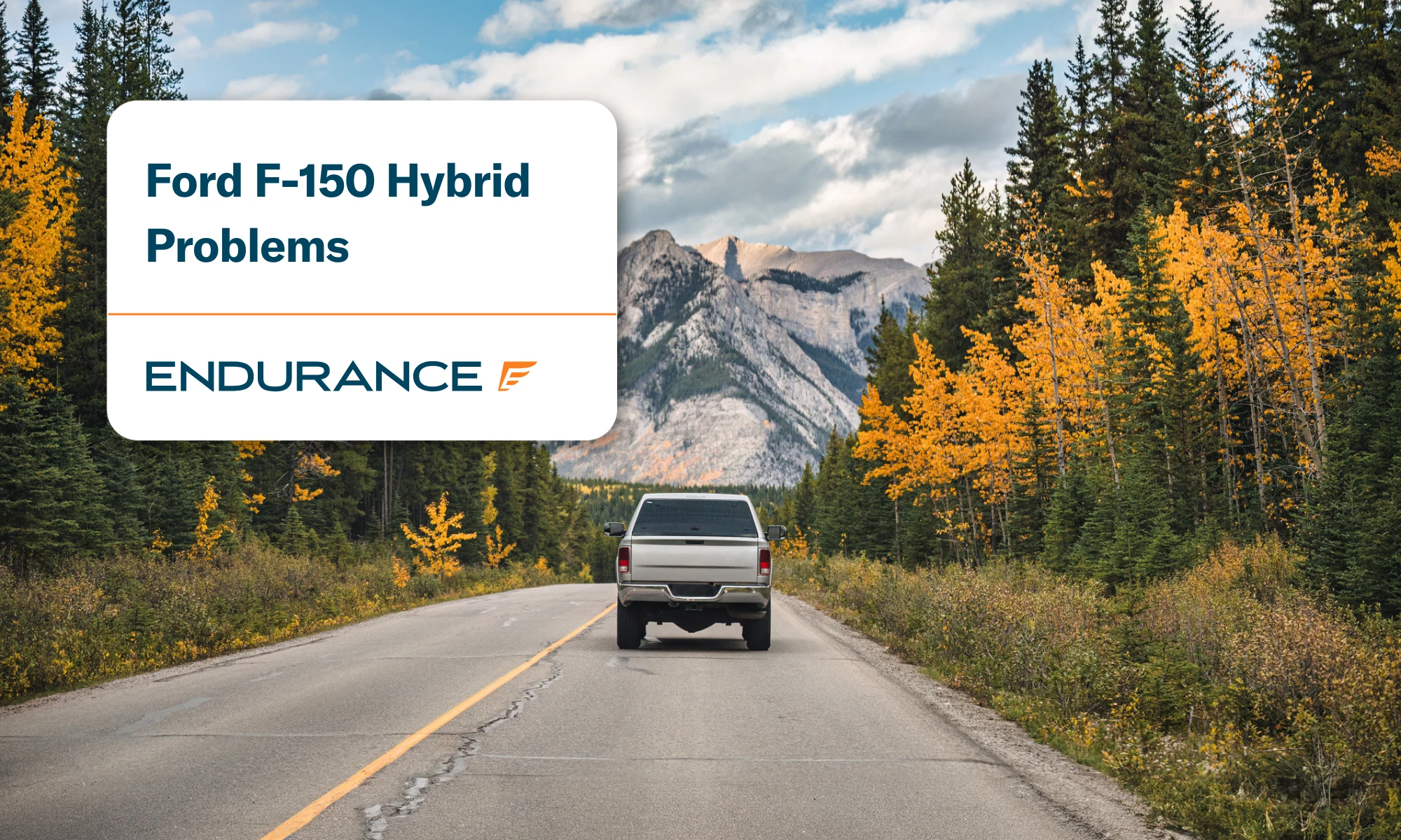 Ford F-150 pickup truck driving on highway in autumn forest